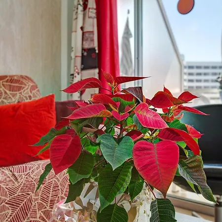 Apartment Be Room Elefantes *
